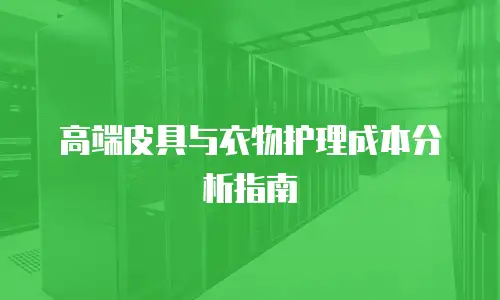高端皮具与衣物护理成本分析指南