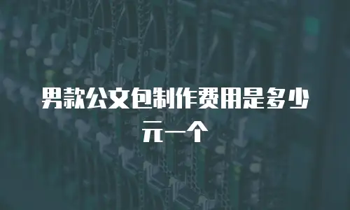 男款公文包制作费用是多少元一个