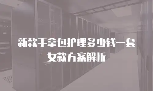 新款手拿包护理多少钱一套女款方案解析