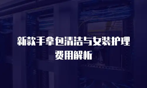 新款手拿包清洁与女装护理费用解析