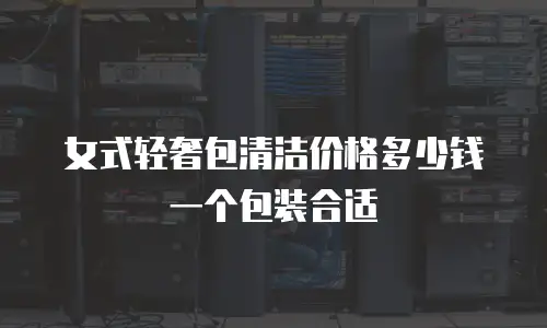 女式轻奢包清洁价格多少钱一个包装合适