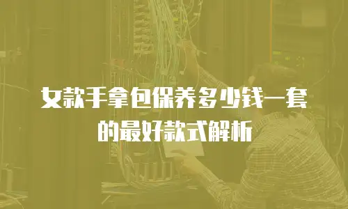 女款手拿包保养多少钱一套的最好款式解析