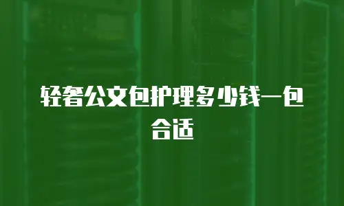 轻奢公文包护理多少钱一包合适