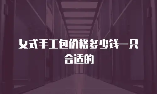女式手工包价格多少钱一只合适的