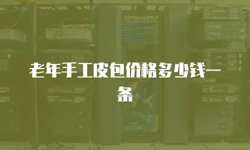 老年手工皮包价格多少钱一条