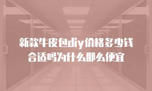 新款牛皮包diy价格多少钱合适吗为什么那么便宜