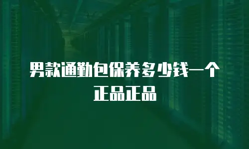 男款通勤包保养多少钱一个正品正品