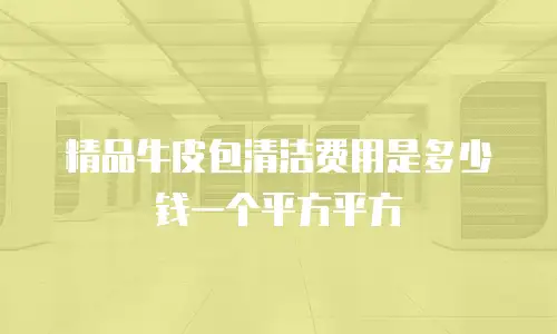 精品牛皮包清洁费用是多少钱一个平方平方