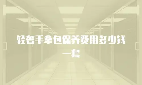 轻奢手拿包保养费用多少钱一套