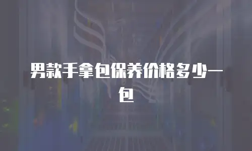 男款手拿包保养价格多少一包