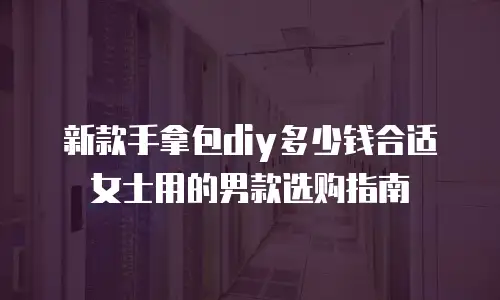新款手拿包diy多少钱合适女士用的男款选购指南