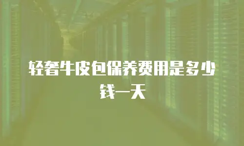 轻奢牛皮包保养费用是多少钱一天
