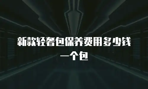 新款轻奢包保养费用多少钱一个包