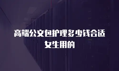 高端公文包护理多少钱合适女生用的