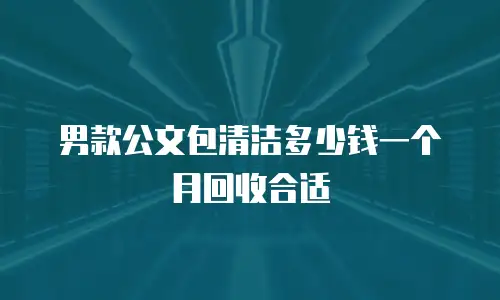 男款公文包清洁多少钱一个月回收合适
