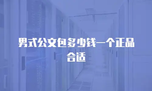 男式公文包多少钱一个正品合适