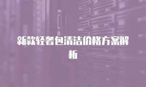 新款轻奢包清洁价格方案解析
