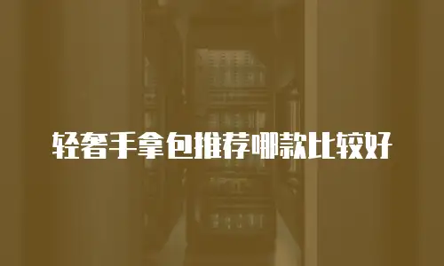 轻奢手拿包推荐哪款比较好