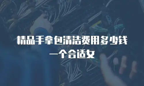 精品手拿包清洁费用多少钱一个合适女