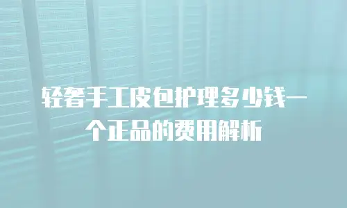 轻奢手工皮包护理多少钱一个正品的费用解析