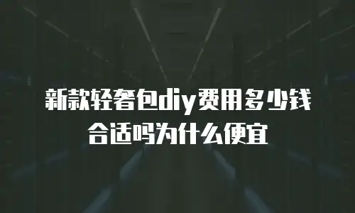 新款轻奢包diy费用多少钱合适吗为什么便宜