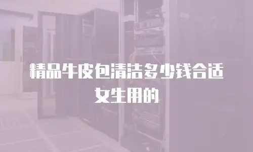 精品牛皮包清洁多少钱合适女生用的