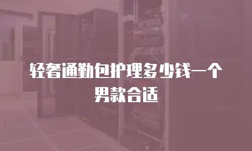 轻奢通勤包护理多少钱一个男款合适