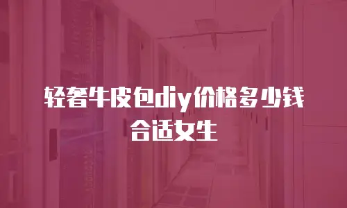 轻奢牛皮包diy价格多少钱合适女生