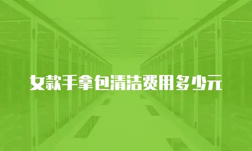 女款手拿包清洁费用多少元
