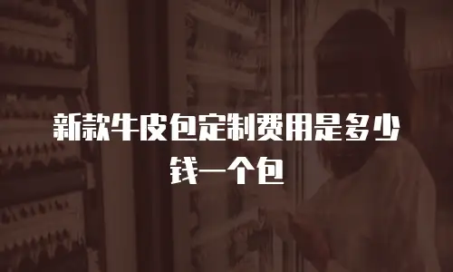 新款牛皮包定制费用是多少钱一个包