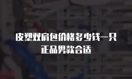 皮塑双肩包价格多少钱一只正品男款合适