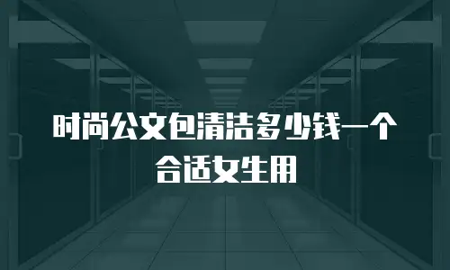 时尚公文包清洁多少钱一个合适女生用