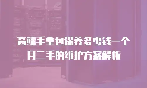 高端手拿包保养多少钱一个月二手的维护方案解析