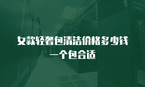 女款轻奢包清洁价格多少钱一个包合适