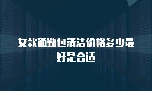 女款通勤包清洁价格多少最好是合适