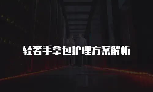 轻奢手拿包护理方案解析
