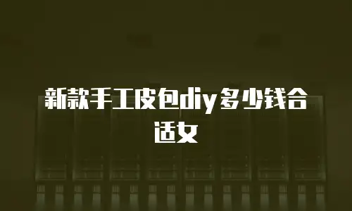 新款手工皮包diy多少钱合适女