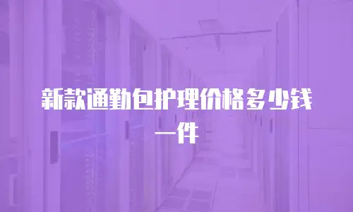 新款通勤包护理价格多少钱一件