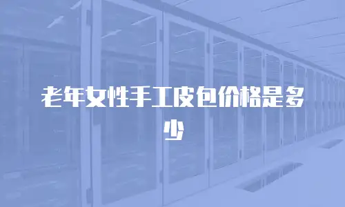 老年女性手工皮包价格是多少