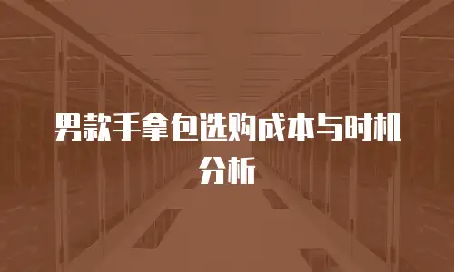 男款手拿包选购成本与时机分析