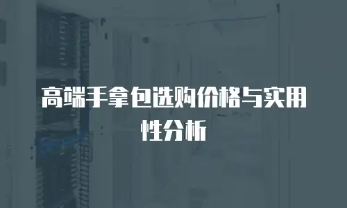 高端手拿包选购价格与实用性分析