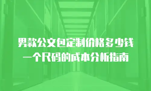 男款公文包定制价格多少钱一个尺码的成本分析指南