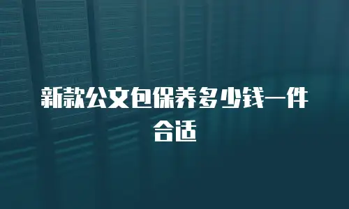 新款公文包保养多少钱一件合适