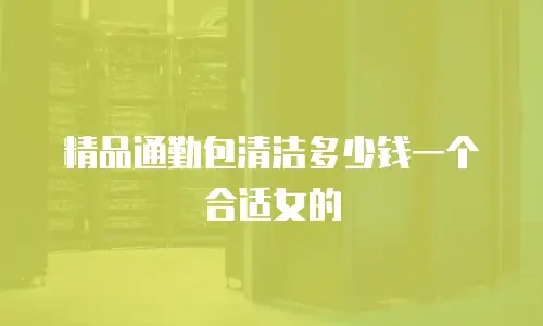 精品通勤包清洁多少钱一个合适女的