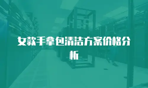 女款手拿包清洁方案价格分析
