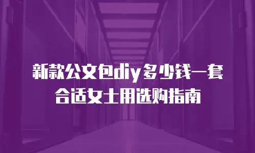 新款公文包diy多少钱一套合适女士用选购指南