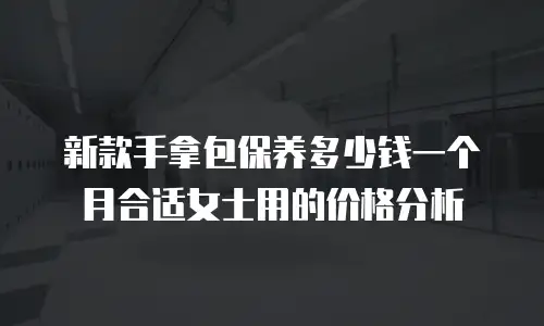 新款手拿包保养多少钱一个月合适女士用的价格分析