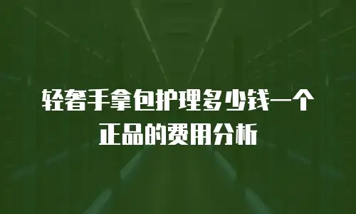 轻奢手拿包护理多少钱一个正品的费用分析