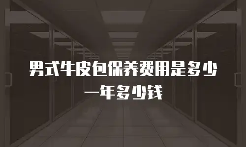 男式牛皮包保养费用是多少一年多少钱