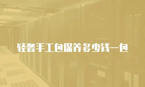 轻奢手工包保养多少钱一包